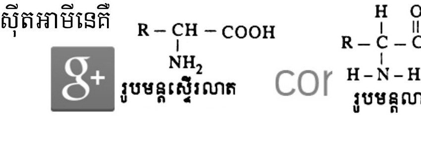 រូបទី 1 — រូបមន្តអាស៊ីតអាមីនេ ៖ រូបមន្តសង្ខេប និងរូបមន្តលម្អិត