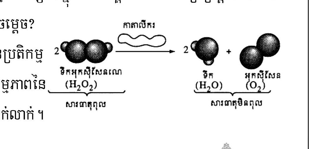 រូបទី 8 — សកម្មភាពកាតាលីករនៃអង់ស៊ីមលើ H₂O₂