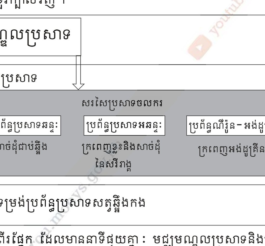រូបបំព្រួញទម្រង់ប្រព័ន្ធប្រសាទសត្វឆ្អឹងកង