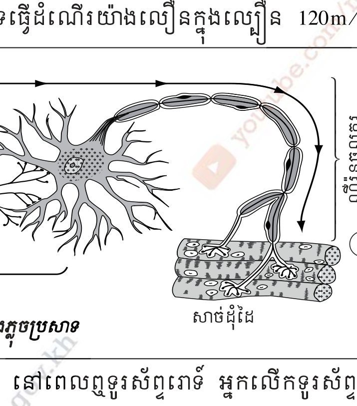 រូបទី 1.10 — ផ្លូវនៃអង្គភ្ញោចប្រសាទ