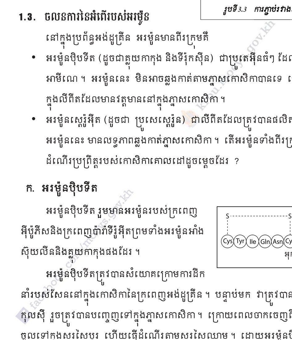 រូបគ្រោងសារធាតុគីមីនៃអូស៊ីតូស៊ីន (គ្មានចំណងជើងក្នុងសៀវភៅ)