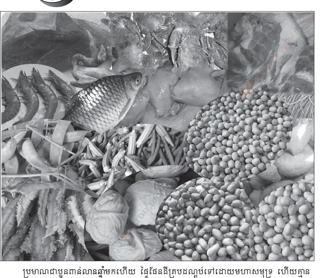 រូបទី 1 — អាហារសម្បូរប្រូតេអ៊ីន / Protein-rich foods