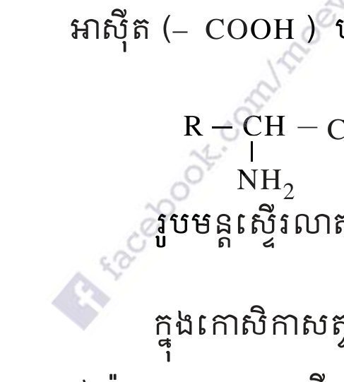 រូបទី 2 — រូបមន្តទ្វេរបស់អាស៊ីតអាមីណេ / General formula of an amino acid