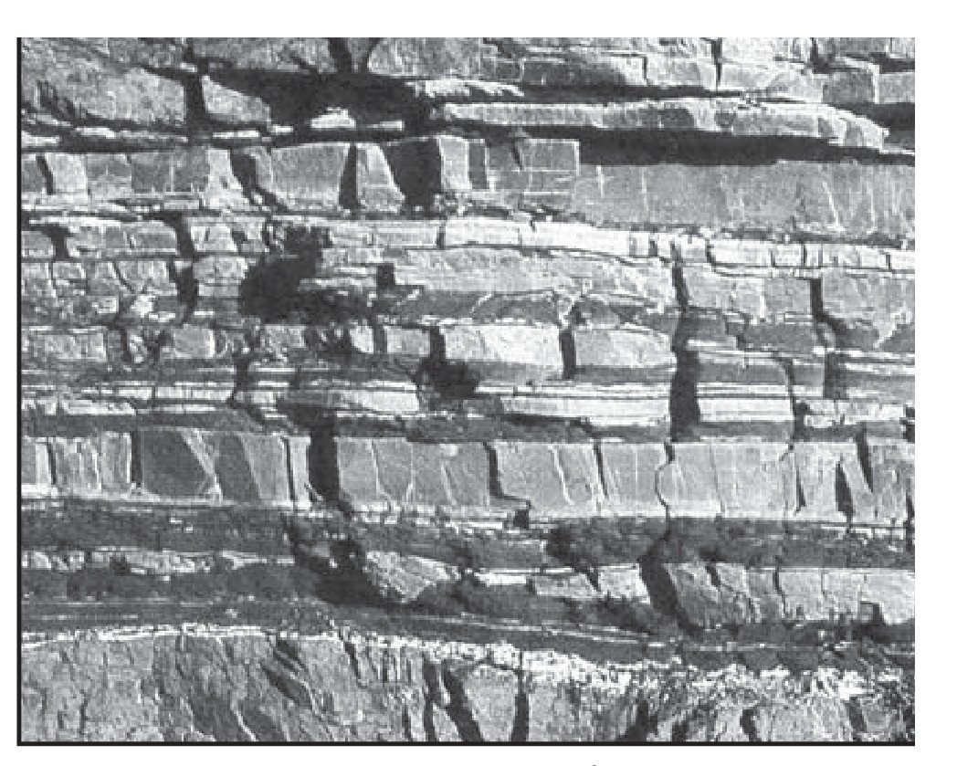 រូបទី 3.1 — សិលាកម្រោកកំណ / Sedimentary rock 