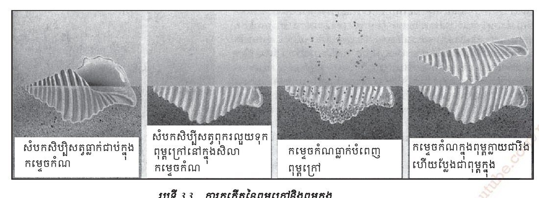 រូបទី 3.3 — ការកើតនៃពុម្ពព្រៃនិងពុម្ពក្នុង / The formation of an external mould and an internal mould 